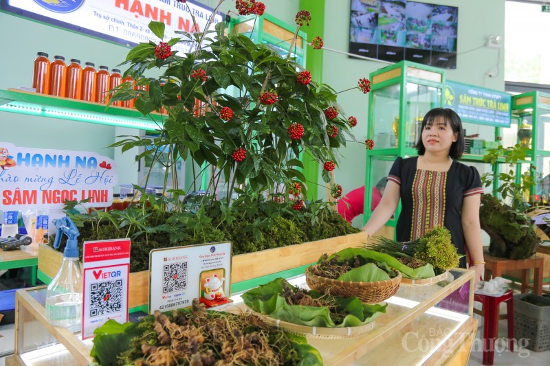 Quảng Nam: Rộn ràng phiên chợ sâm Ngọc Linh dịp 20 năm thành lập huyện Nam Trà My